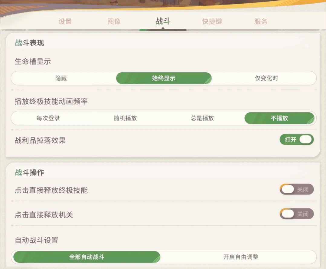 部分战斗设置选项