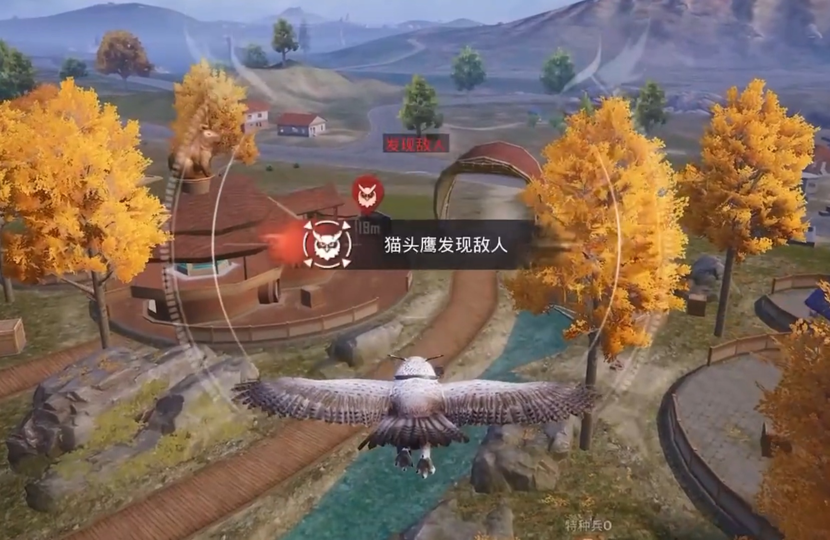 雕鸮